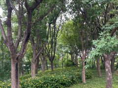 -尚贤河湿地