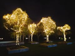 -上海佘山茂御臻品之选酒店(原佘山艾美酒店)