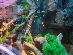 -沈阳海洋探索中心