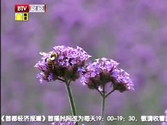 景点-云峰山自然风景区