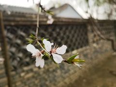 -三里河公园