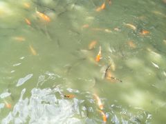 -揭东万竹园旅游景区