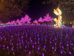 -云幽谷旅游区