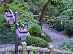 -乌山风景区