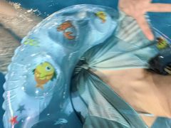 -杭州浪浪浪水公园