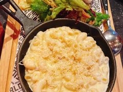 -Boxing Cat Brewery拳击猫精酿啤酒馆(永福店)