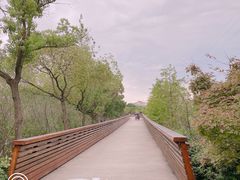 -昆山城市生态森林公园