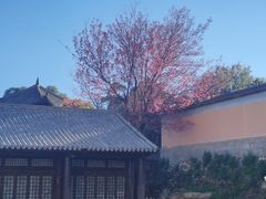 -天龙八部武侠城
