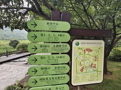 -中国茶叶博物馆(双峰馆区)