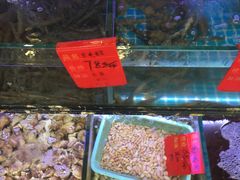 -金海湾海鲜排档(朱家尖店)