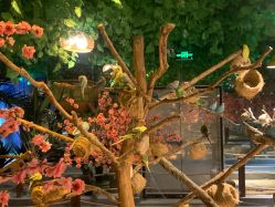 -酷嗒动物文化乐园(cutezoo西溪乐天城店)