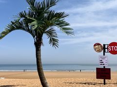 -巧克力渔家.小船海鲜家常菜(万平口店)