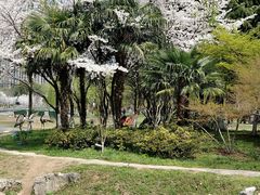 -堤角公园