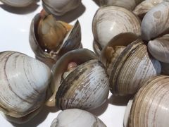 -海味当家·蒸锅海鲜(星海公园店)