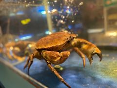 -肥仔文澳门猪骨煲(南京西路店)