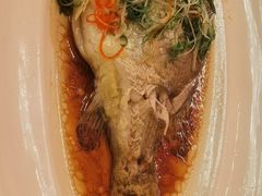 -上海和平饭店龙凤厅 Dragon Phoenix