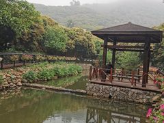 -月亮湾公园