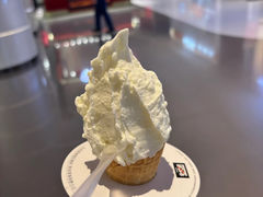 -野人先生现做冰淇淋(北京王府井东方新天地店)