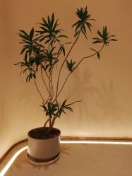 -LORI SPA洛丽汇 美肤抗衰SPA中心