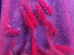 -华声天桥民俗文化园