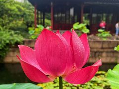 -南园(太仓市)