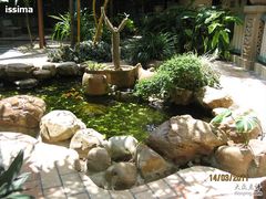 IMG_0616-三亚亚龙湾凯莱仙人掌度假酒店