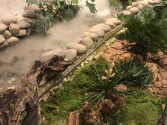 -HIHE Bistro·Oyster Bar(华熙live店)