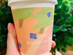 重瓣玫瑰牛乳布列夫-代数学家algebraist(苏州中心店)