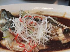 -樽宴酒楼·地道川菜·品质宴请
