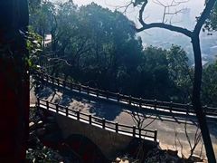 -杭州半山国家森林公园