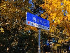 -八大关景区