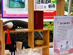 -东华大学(松江校区)