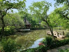 -上海醉白池公园
