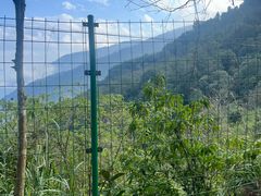 -云南屏边大围山国家公园