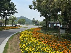 -狼山风景名胜区