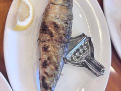 -小飞象葡国餐