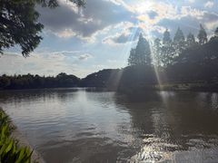 -江心屿景区