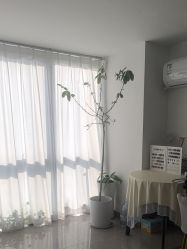 -颜续美容美体