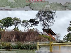 -广州莲花山旅游区