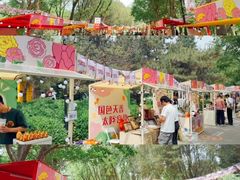 -太阳宫公园