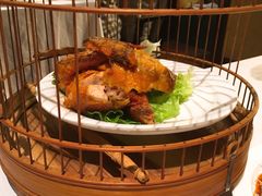 捉妖鸡-八分饱·西津会(西津渡店)