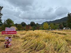 -塔川景区
