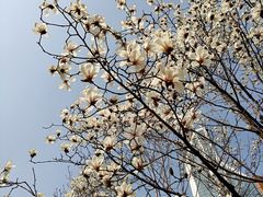 -人民广场