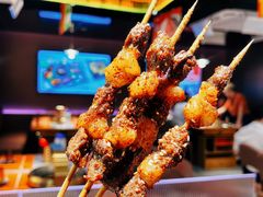 -杨小佳·齐齐哈尔烤肉·烤串(广州店)