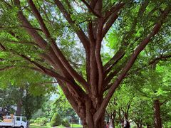 -北海道厅旧本厅舍(旧本庁舎)