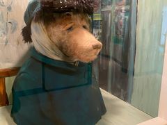 -济州岛泰迪熊博物馆