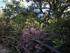 -香山公园