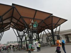 -上海长兴岛郊野公园