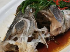 清蒸鲈鱼-天宁凯利时尚餐厅