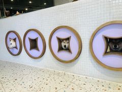 -柴务处·柴犬主题狗咖